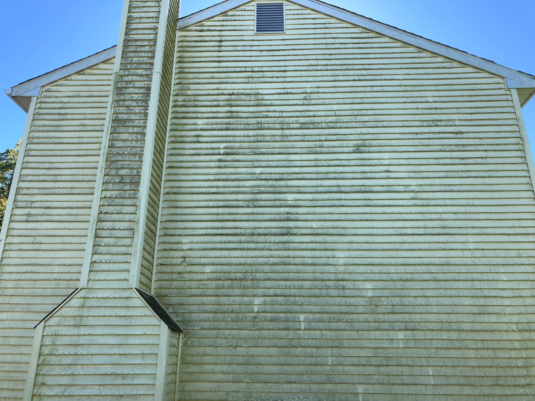 Before photo showing green algae streaking on light-colored siding